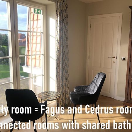 Cedrus Bed & Breakfast Jabbeke  Luaran gambar